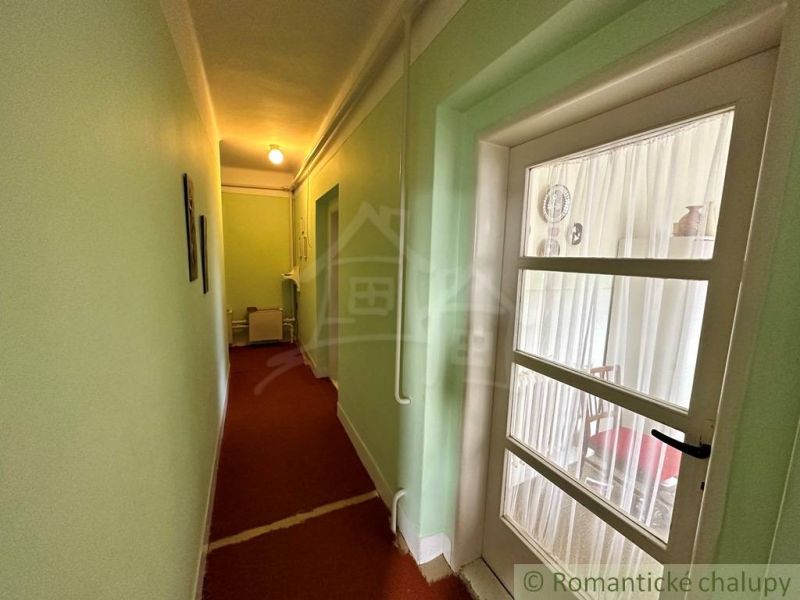 A hallway in a family house with green walls and glass doors.