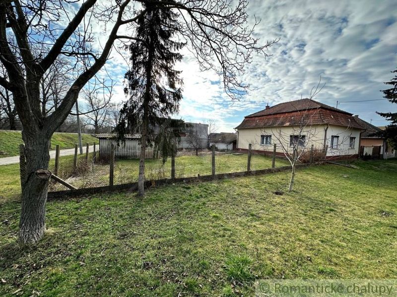 A family house in Kolárovo with a lawn and trees under a blue sky.