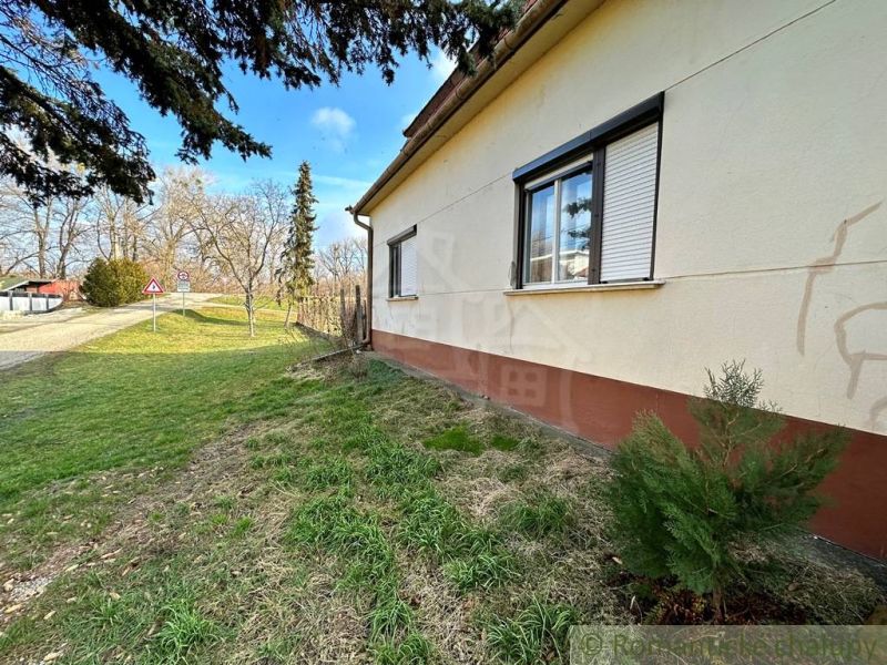 A family house in Kolárovo with an adjacent grassy garden and coniferous trees.