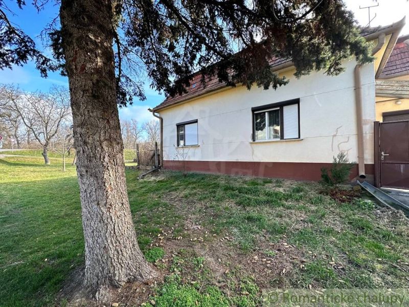 A family house in Kolárovo with a lawn and a tree in the garden.