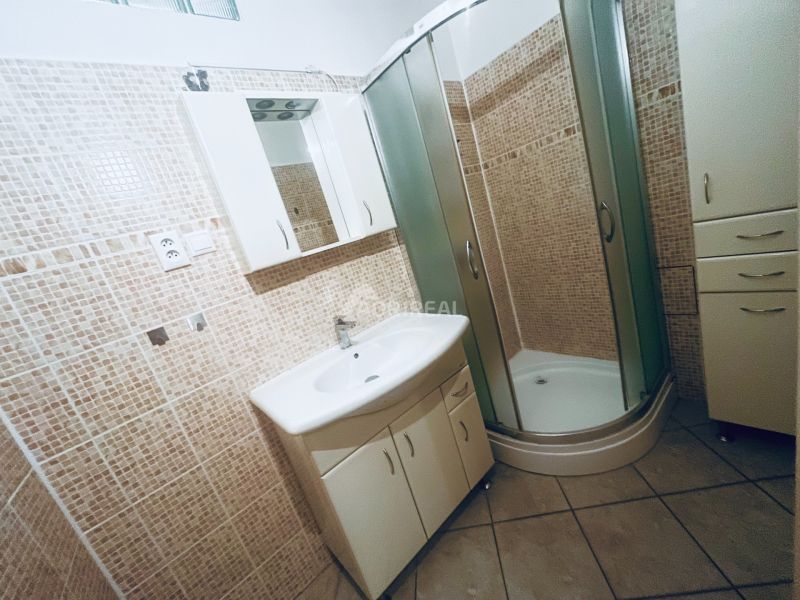 A bathroom with a shower and mosaic tiles in a 3-room apartment.