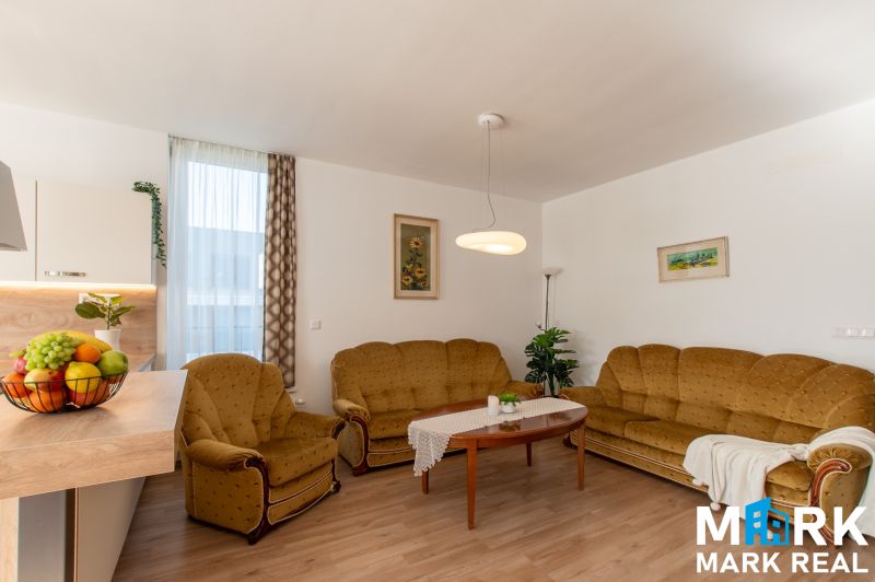 Living room of a two-room apartment with sofas, a plant, and a wooden decor floor.