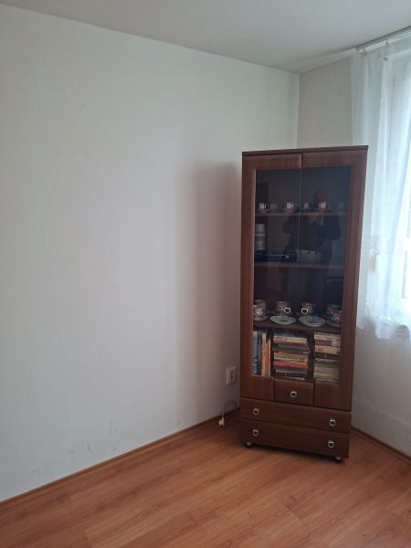 A room in a two-room apartment with a display cabinet, books, and a wooden decor floor.