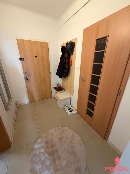 Interior of a 2-room apartment with a wardrobe, tiles, and a comfortable carpet.