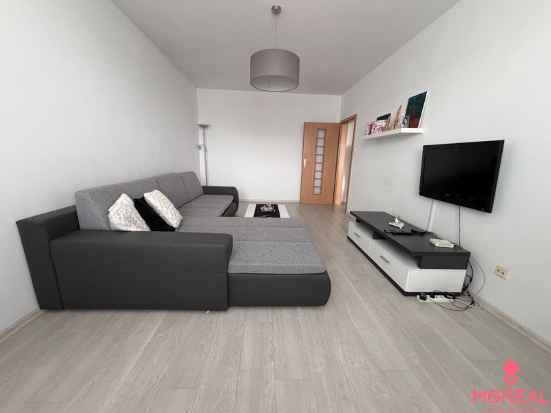 Living room in a two-room apartment with a sofa, television, and wooden decor flooring.