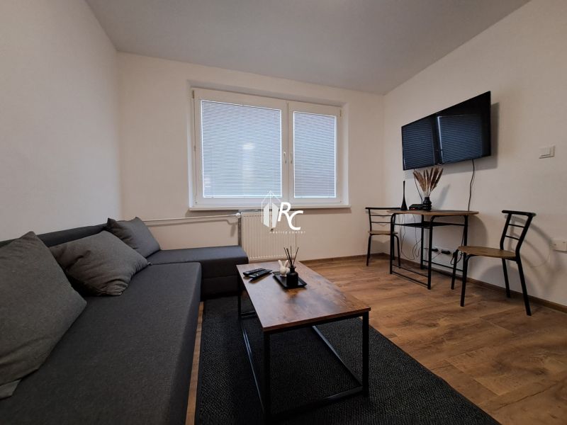 Living room with wood-patterned flooring, a sofa, and a television in a studio apartment.