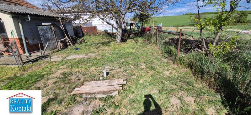 A garden at a family house in a village with a tree and fencing in the countryside.