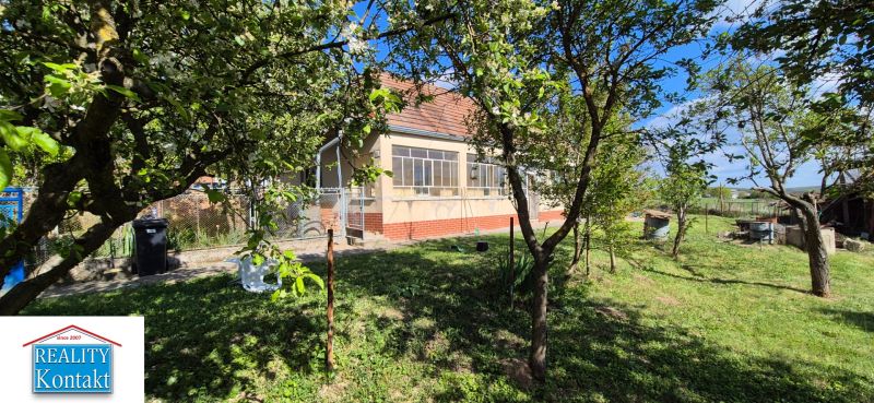 A family house in a village surrounded by a garden with fruit trees, blue sky.