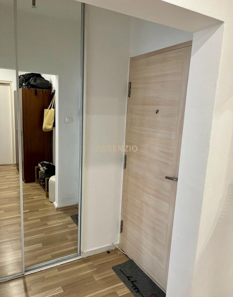 A hallway with a wood-patterned floor, a mirrored wardrobe, and light-colored doors in a 2-room apartment.
