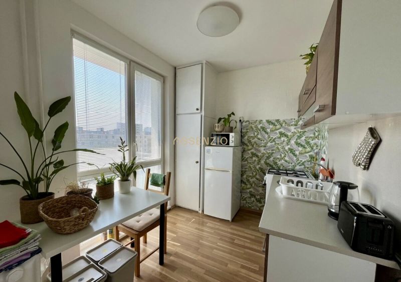 A kitchen in a 2-room apartment with plants and a wooden decor floor.