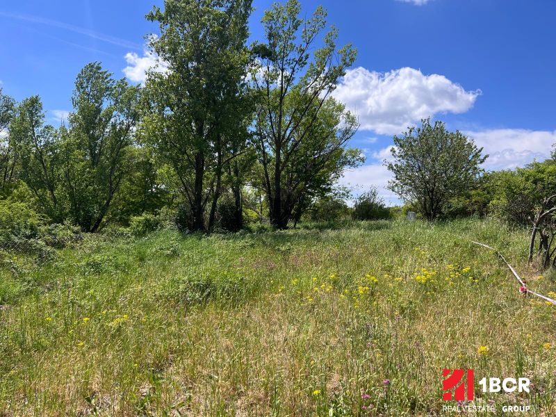 Greenery and trees on residential plots in Bratislava - Lamač on Cesta na Klanec.