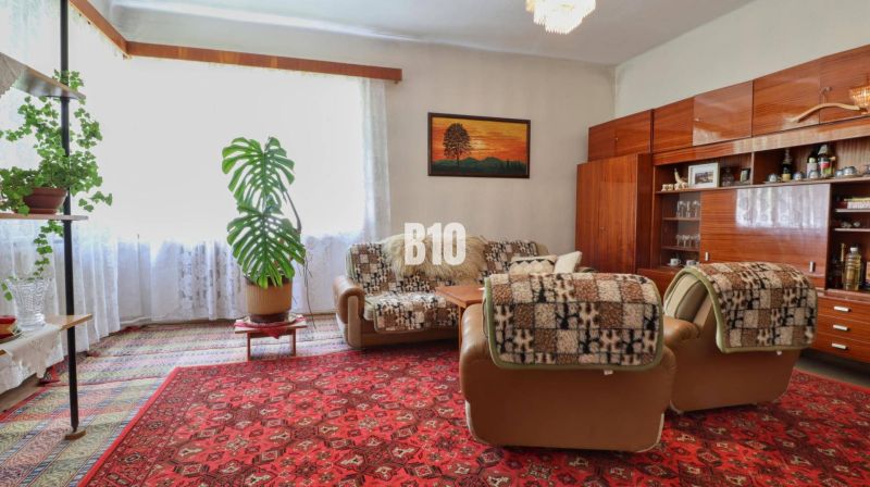 Living room in a family house with a comfortable sofa, carpet, and houseplants.