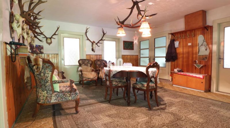 The interior of a family house with wooden paneling and hunting trophies on the walls.