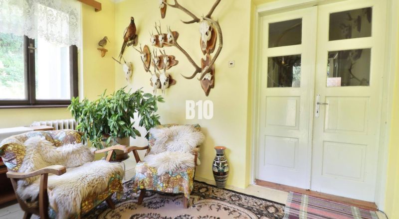 Interior of a family house with hunting trophies, plants, and comfortable armchairs.