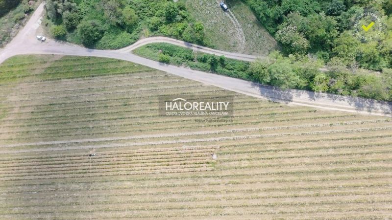 Vineyards and access road near Svätý Jur, suitable for residential plots.
