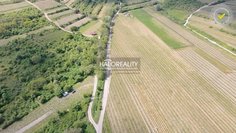 Vineyards and fields on residential land around Svätý Jur.