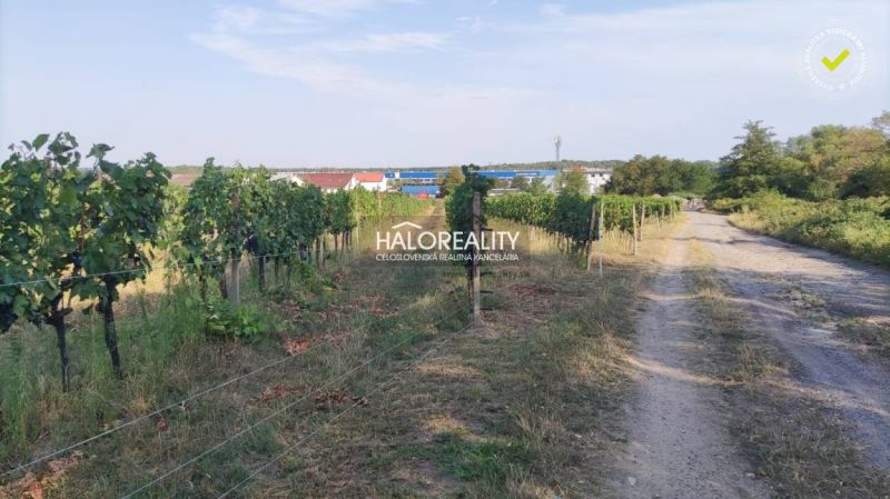 Vineyards and a road in Svätý Jur, residential land, surrounded by nature and greenery.