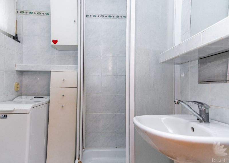 Bathroom with a shower, washing machine, and sink in a 2-room apartment.