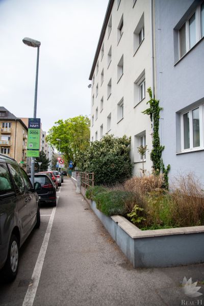 Česká Street in Bratislava - Nové Mesto with parked cars and urban greenery.