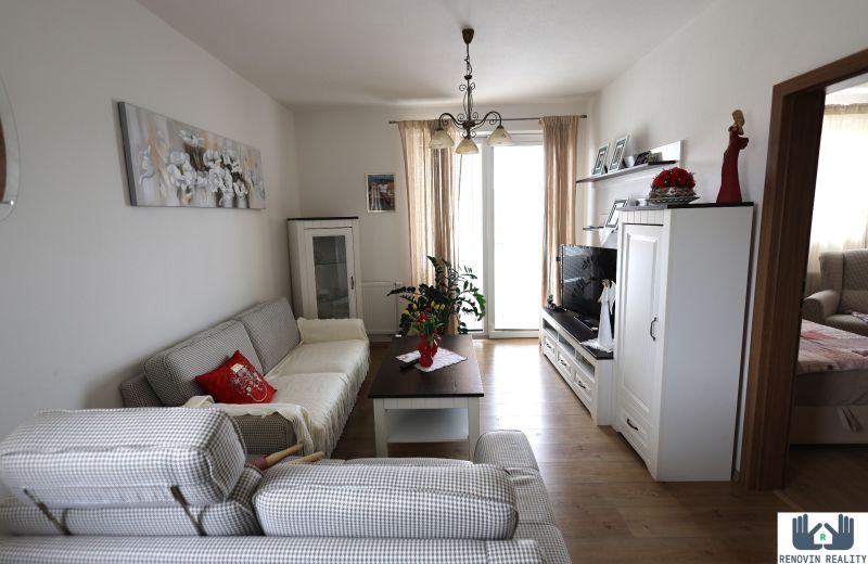 Living room in a two-room apartment with a sofa and a wooden decor floor.