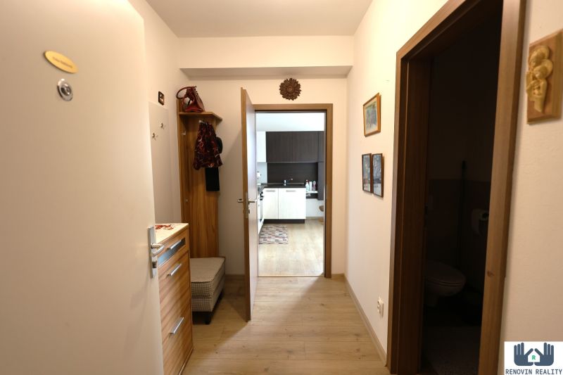 A hallway in a 2-room apartment with a wood-patterned floor and a view into the kitchen.