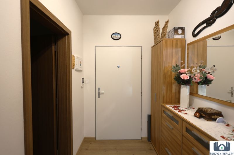 Entrance hallway in a 2-room apartment with a wood-patterned floor and a decorative mirror.