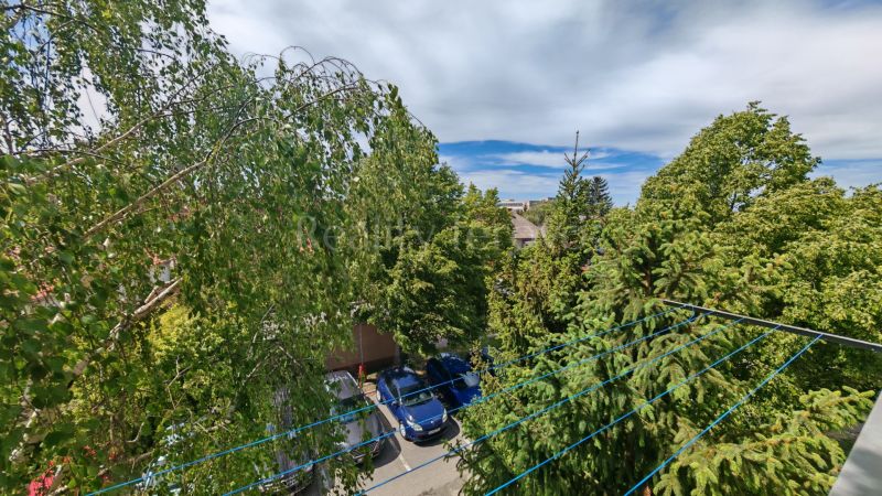 Greenery and parked cars on M.M. Hodža Street in Šaľa near the 2-room apartment.