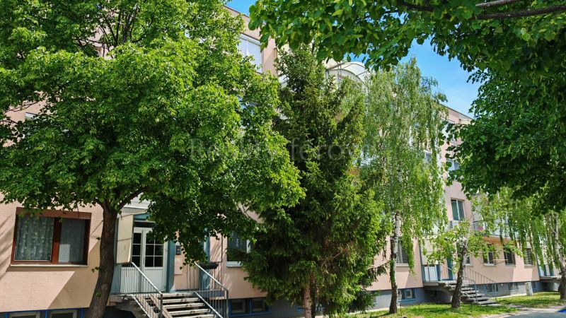 An apartment building on M.M. Hodža Street in Šaľa surrounded by greenery and trees.