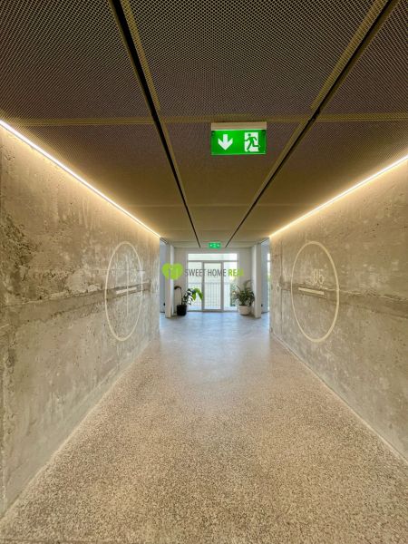 A hallway with concrete walls in a 2-room apartment, lit by daylight with plants at the end.
