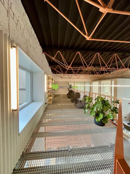 An interior space with a metal floor, plants, and bean bags in a studio apartment.