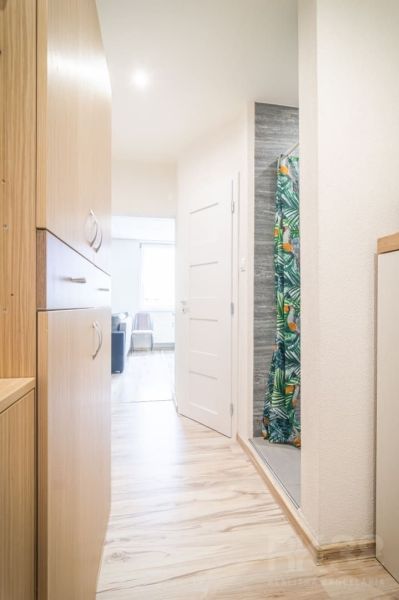 A hallway in a 2-room apartment with a wooden decor floor and a shower with a colorful curtain.