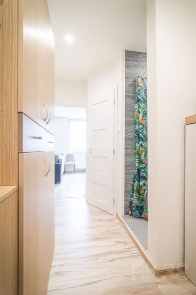A bright hallway in a 2-room apartment with a wooden decor floor.