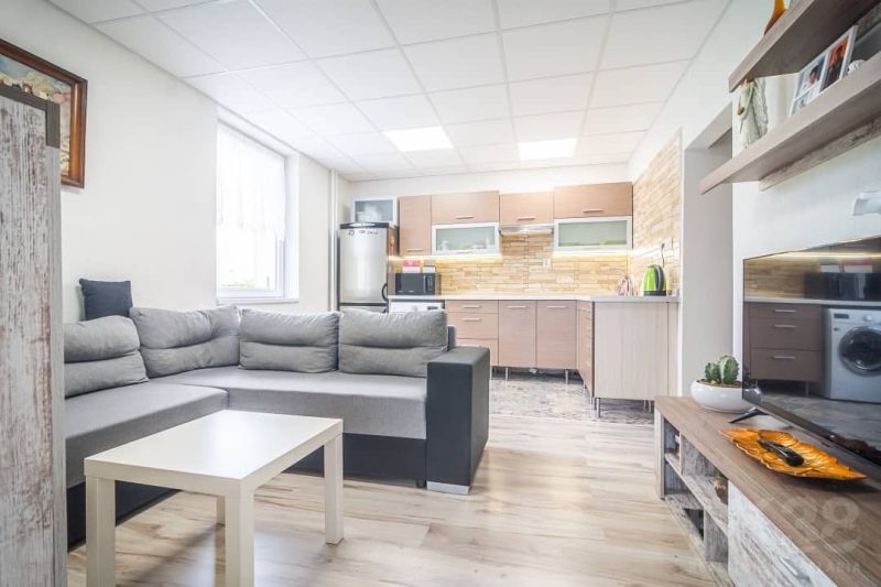 A comfortable living room with a kitchen and a wooden decor floor in a 2-room apartment.