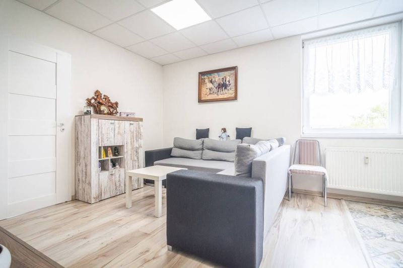 Living room in a 2-room apartment with a gray sofa and wood-patterned flooring.