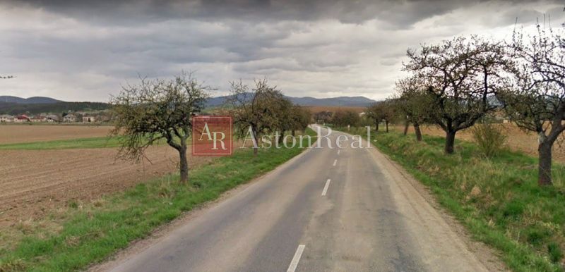 A tree-lined path leads through the Lands - housing near Svinná, Svinná, with a view of the fields.