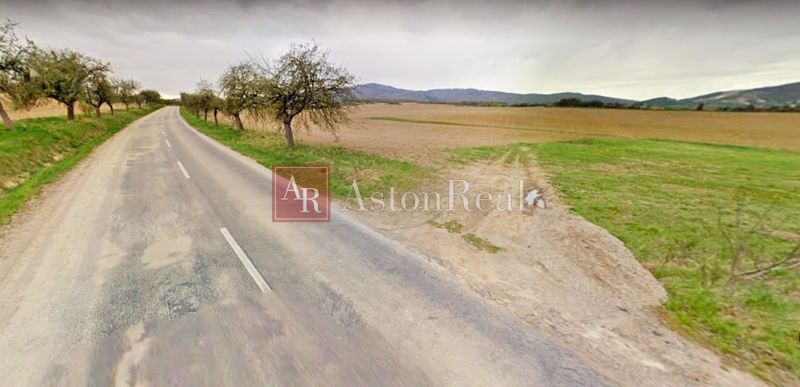 A road in Svinná surrounded by fields and trees, ideal for plots - housing.