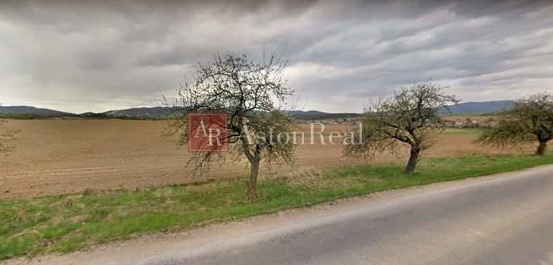 The path runs alongside trees and extensive residential plots in the village of Svinná.