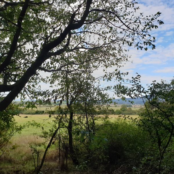 Agricultural and forest lands in Budmerice include trees and open fields under a blue sky.