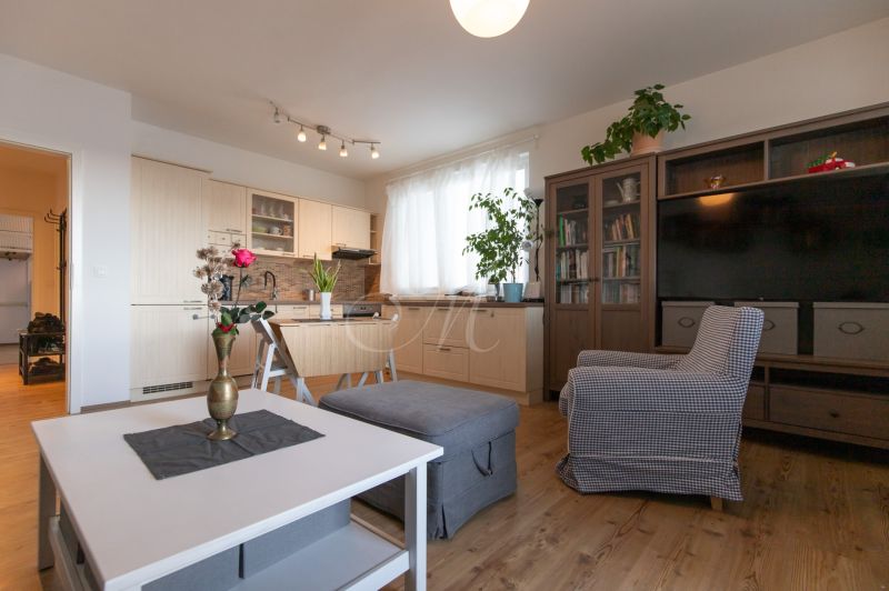 Living room with kitchen, furniture, wood-patterned flooring, and a plant in a two-room apartment.