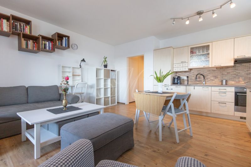 Living room in a two-room apartment with a kitchen, wooden decor flooring, gray sofa.