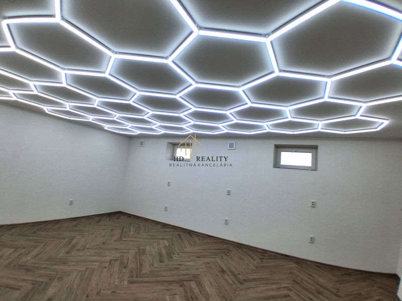 Commercial premises with a wooden decor floor and unique ceiling lighting.
