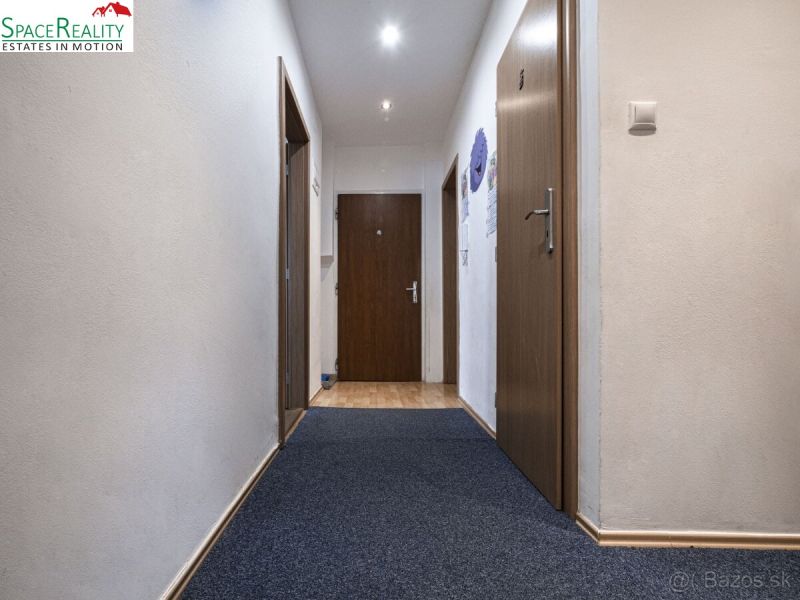 A hallway in a 3-room apartment with carpet and doors with a wooden decor.