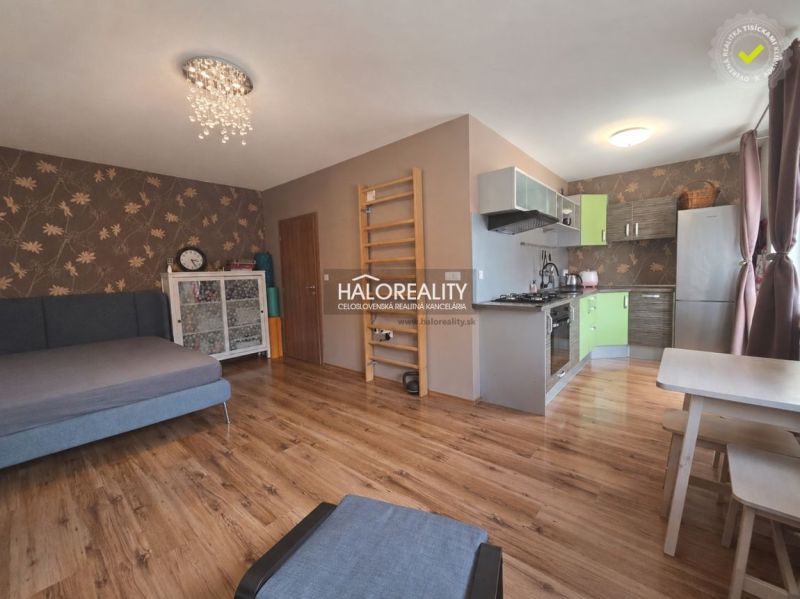 Living room of a two-room apartment with a wood-patterned floor and a kitchenette.