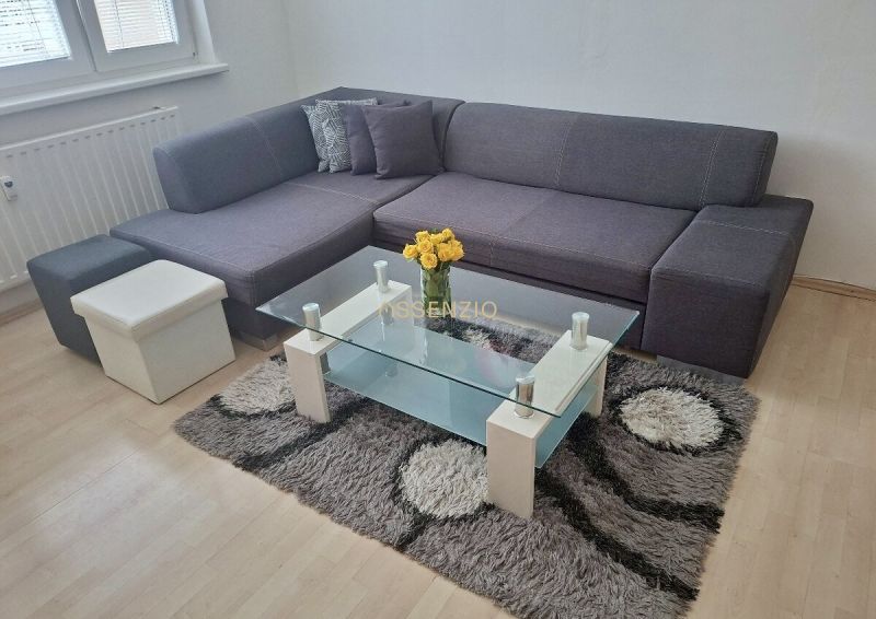 Gray sofa with a coffee table and a carpet, 3-room apartment.