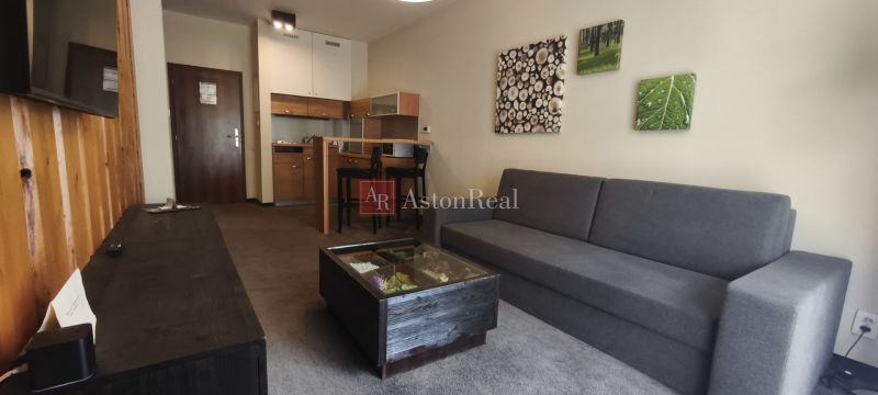 Interior of a holiday apartment with a kitchen, couch, and wall decorations, floor with wooden decor.
