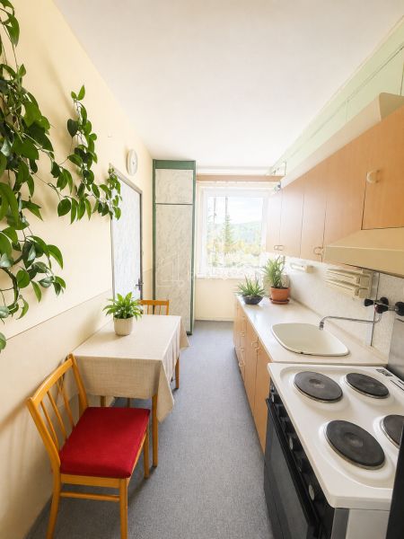A kitchen in a 3-room apartment with a dining area and houseplants.