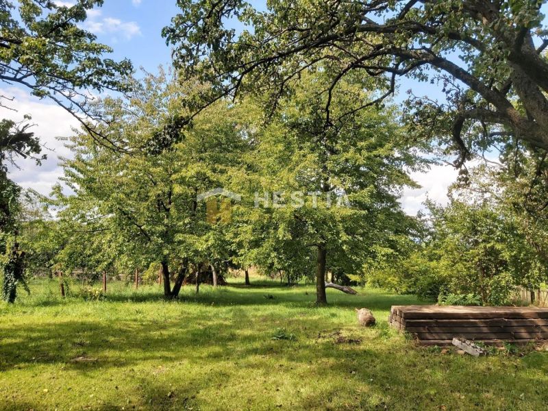 Greenery with grass and trees in Cerová, suitable for residential plots.