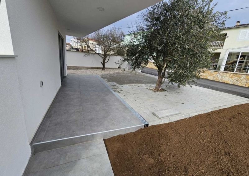 A terrace at a family house in Vrsi with paving and an olive tree.