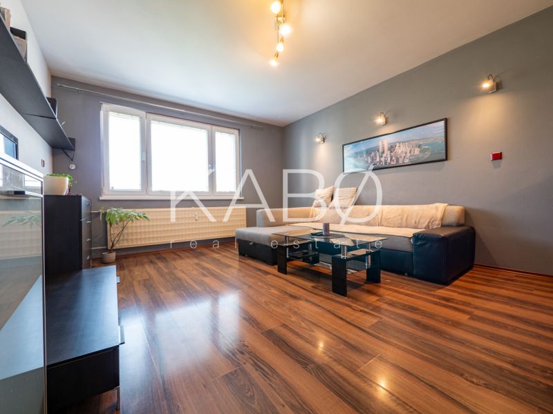 Living room with wood-patterned flooring in a two-room apartment, sofa and painting on the wall.