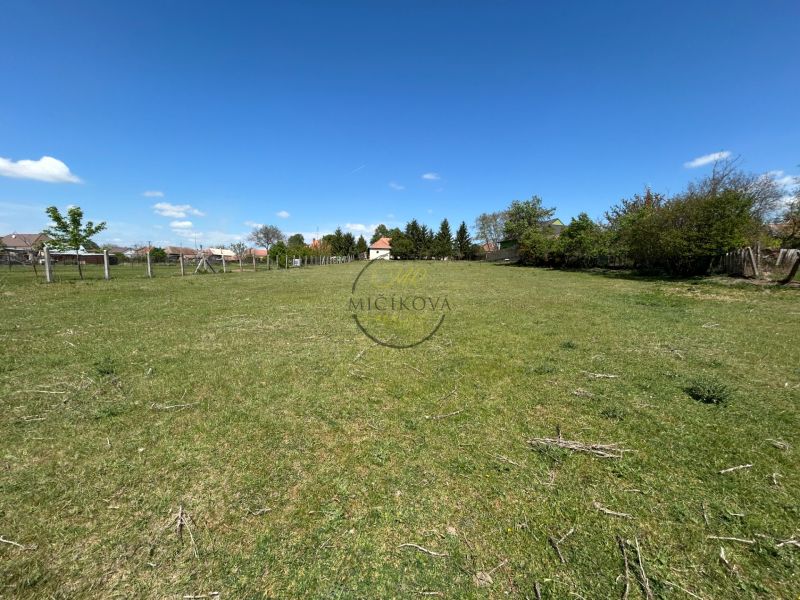 A green plot of land in Čifáre surrounded by fencing and trees, ideal for a family house.